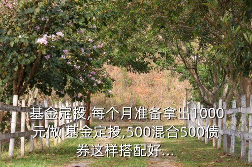  基金定投,每個月準(zhǔn)備拿出1000元做 基金定投,500混合500債券這樣搭配好...