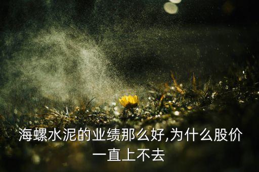  海螺水泥的業(yè)績那么好,為什么股價(jià)一直上不去