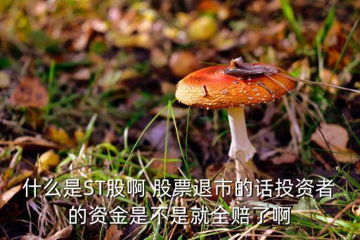 什么是ST股啊 股票退市的話投資者的資金是不是就全賠了啊