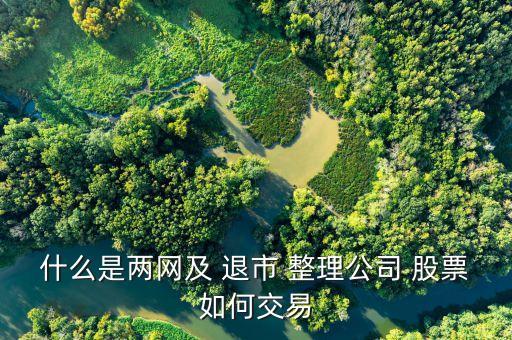 什么是兩網(wǎng)及 退市 整理公司 股票如何交易