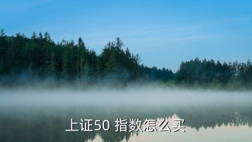 上證50 指數(shù)怎么買