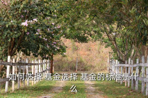 如何選擇 基金選擇 基金的標(biāo)準(zhǔn)是什么