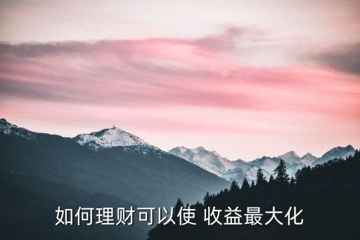 如何理財(cái)可以使 收益最大化