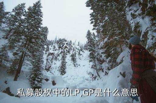 私募股權(quán)中的LP,GP是什么意思