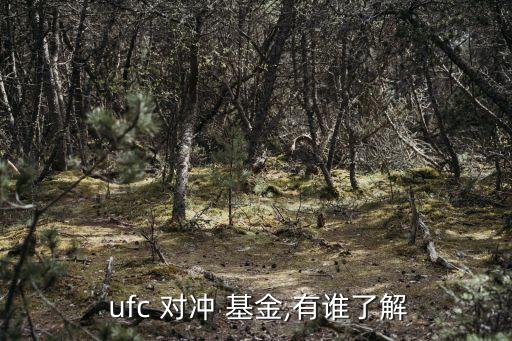 ufc對沖基金跑路了