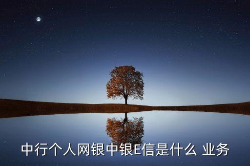 中行個人網(wǎng)銀中銀E信是什么 業(yè)務(wù)