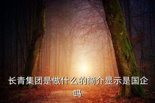  長(zhǎng)青集團(tuán)是做什么的簡(jiǎn)介顯示是國(guó)企嗎