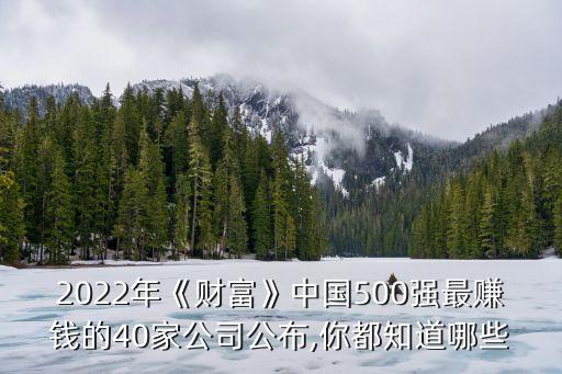 2022年《財(cái)富》中國(guó)500強(qiáng)最賺錢(qián)的40家公司公布,你都知道哪些