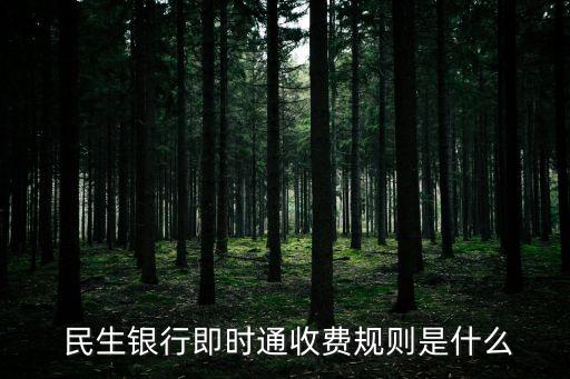  民生銀行即時通收費(fèi)規(guī)則是什么