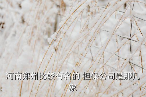 河南鄭州比較有名的 擔(dān)保公司是那幾家