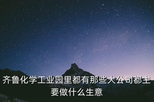 齊魯化學工業(yè)園里都有那些大公司都主要做什么生意