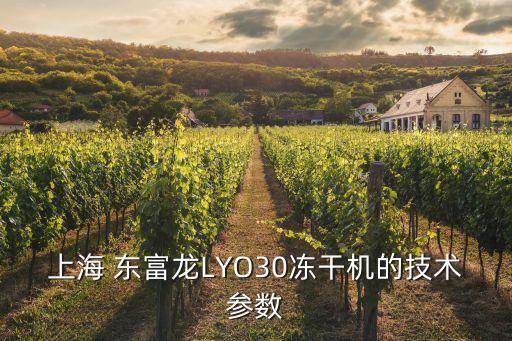 上海 東富龍LYO30凍干機的技術參數(shù)