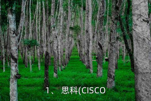 1、 思科(CISCO