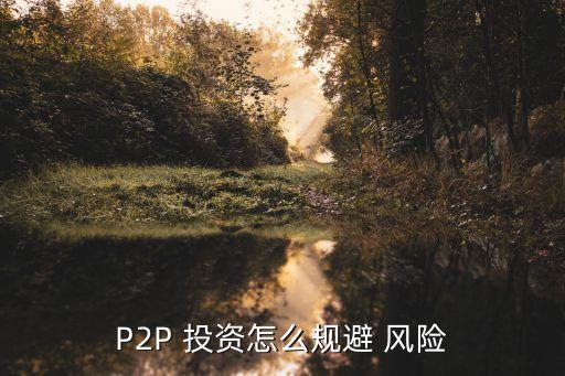 P2P 投資怎么規(guī)避 風(fēng)險