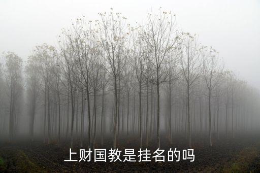 上財(cái)國(guó)教是掛名的嗎