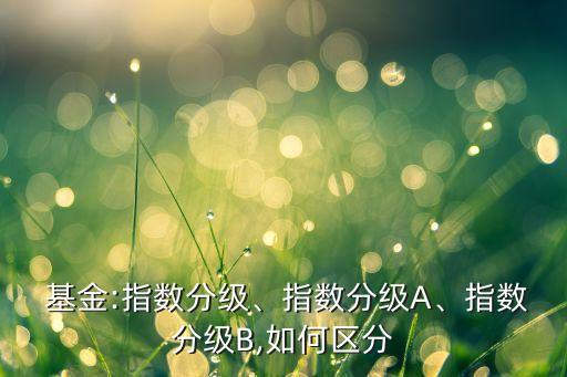  基金:指數(shù)分級、指數(shù)分級A、指數(shù)分級B,如何區(qū)分