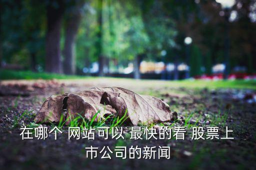 股票消息面最快網(wǎng)站,股票看消息面用什么app