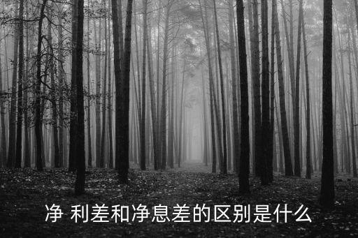 凈 利差和凈息差的區(qū)別是什么