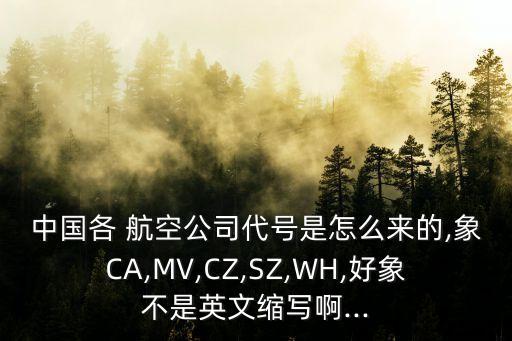 中國各 航空公司代號(hào)是怎么來的,象CA,MV,CZ,SZ,WH,好象不是英文縮寫啊...