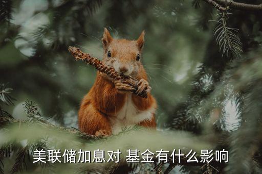 美聯(lián)儲(chǔ)加息對(duì) 基金有什么影響