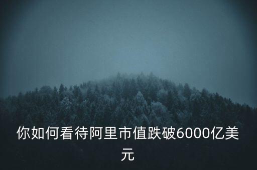 你如何看待阿里市值跌破6000億美元