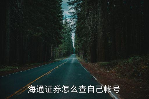 海通證券怎么查自己帳號(hào)