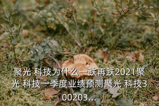 聚光 科技為什么一跌再跌2021聚光 科技一季度業(yè)績(jī)預(yù)測(cè)聚光 科技300203...