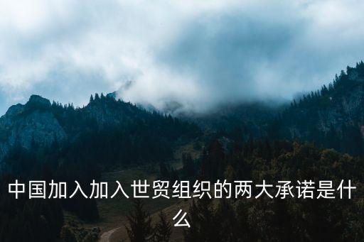 中國wto貿(mào)易協(xié)定內(nèi)容,區(qū)域貿(mào)易協(xié)定和WTO的關系