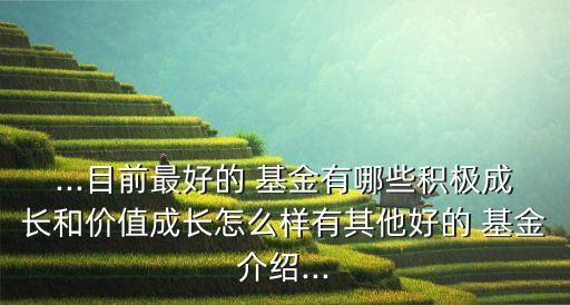 ...目前最好的 基金有哪些積極成長和價值成長怎么樣有其他好的 基金介紹...