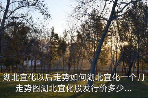 湖北宜化以后走勢如何湖北宜化一個月走勢圖湖北宜化股發(fā)行價多少...