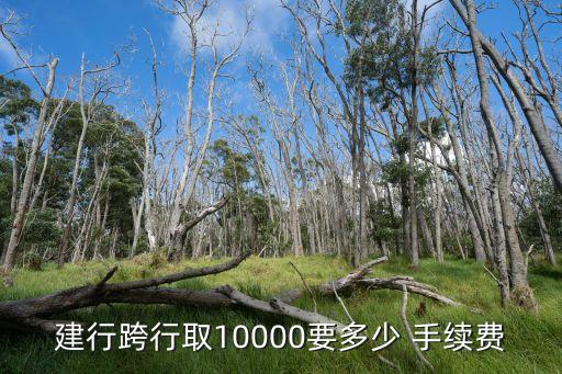 建行跨行取10000要多少 手續(xù)費