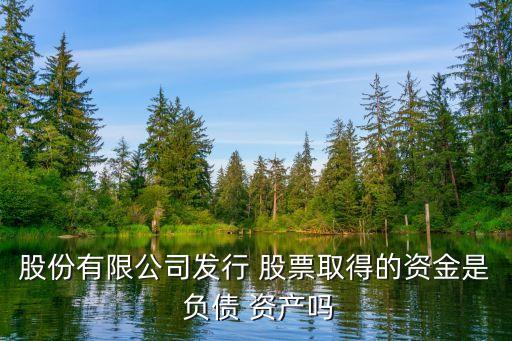 股份有限公司發(fā)行 股票取得的資金是 負債 資產(chǎn)嗎