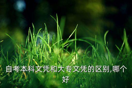 自考本科文憑和大專文憑的區(qū)別,哪個(gè)好