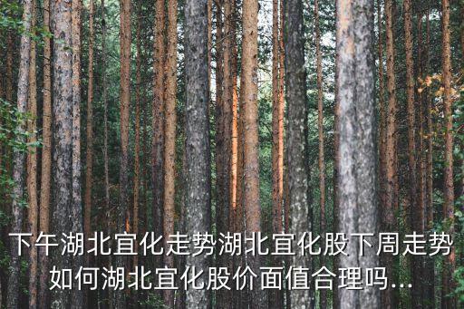 下午湖北宜化走勢湖北宜化股下周走勢如何湖北宜化股價面值合理嗎...