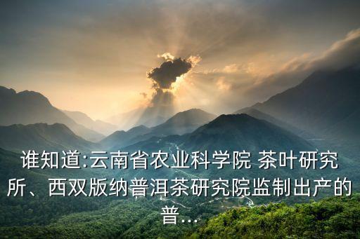 誰知道:云南省農(nóng)業(yè)科學(xué)院 茶葉研究所、西雙版納普洱茶研究院監(jiān)制出產(chǎn)的普...