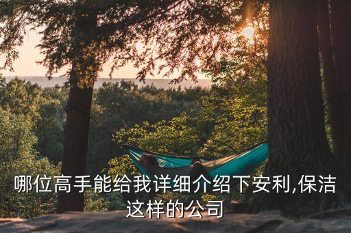 哪位高手能給我詳細(xì)介紹下安利,保潔這樣的公司