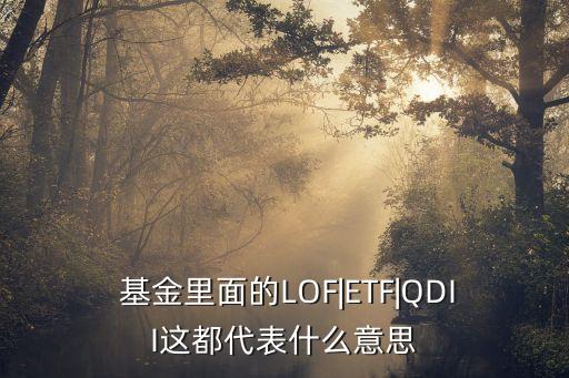  基金里面的LOF|ETF|QDII這都代表什么意思