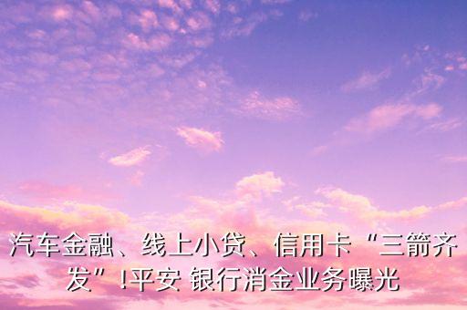 汽車(chē)金融、線上小貸、信用卡“三箭齊發(fā)”!平安 銀行消金業(yè)務(wù)曝光