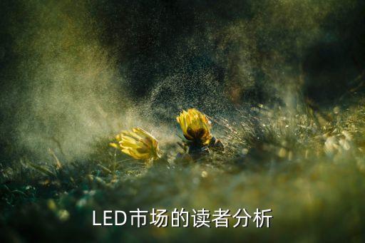 LED市場的讀者分析