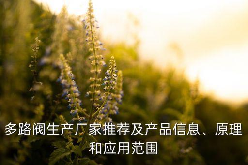 多路閥生產(chǎn)廠家推薦及產(chǎn)品信息、原理和應(yīng)用范圍