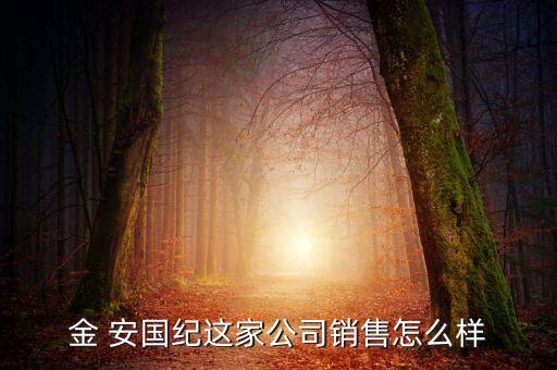 金 安國紀這家公司銷售怎么樣