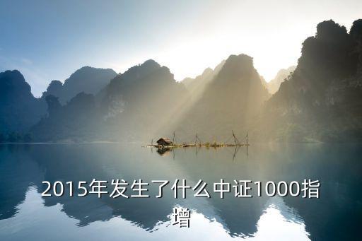 2015年發(fā)生了什么中證1000指增