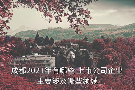 成都2021年有哪些 上市公司企業(yè)主要涉及哪些領(lǐng)域