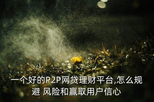 一個好的P2P網(wǎng)貸理財平臺,怎么規(guī)避 風(fēng)險和贏取用戶信心