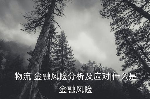  物流 金融風(fēng)險(xiǎn)分析及應(yīng)對|什么是 金融風(fēng)險(xiǎn)