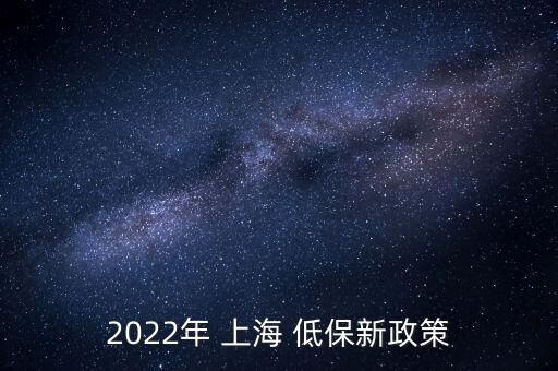 2022年 上海 低保新政策