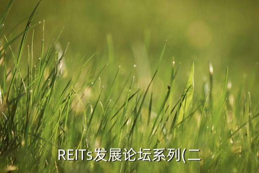 REITs發(fā)展論壇系列(二