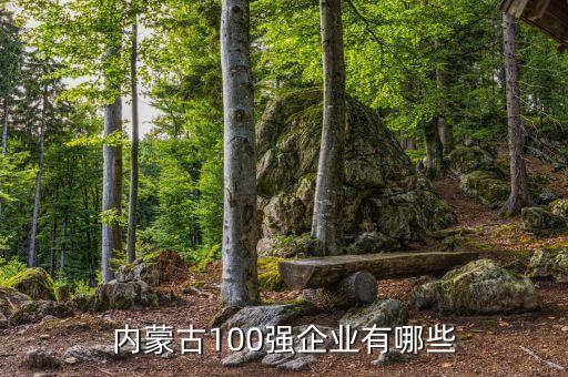 內(nèi)蒙古100強(qiáng)企業(yè)有哪些