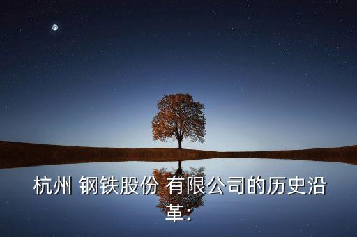  杭州 鋼鐵股份 有限公司的歷史沿革: