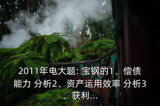 2011年電大題: 寶鋼的1、償債能力 分析2、資產(chǎn)運(yùn)用效率 分析3、獲利...